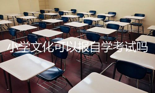 小学文化可以报自学考试吗