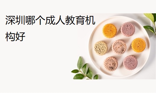 深圳哪个成人教育机构好
