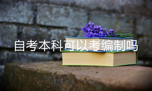 自考本科可以考编制吗