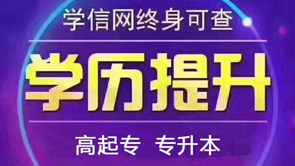 深圳大学专科怎么报名?需要哪些条件?