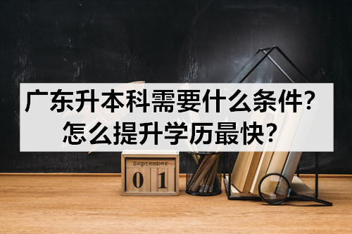 广东升本科需要什么条件？怎么提升学历最快？