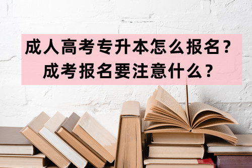 成人高考专升本怎么报名？成考报名要注意什么？