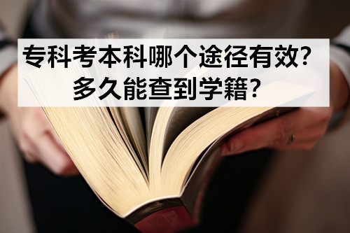 专科考本科哪个途径有效？多久能查到学籍？