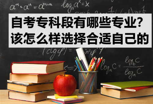 自考专科段有哪些专业？该怎么样选择合适自己的