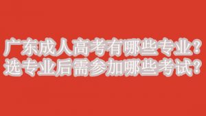 广东成人高考有哪些专业