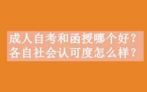 成人自考和函授哪个好