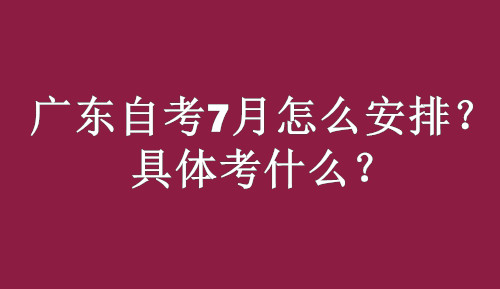 广东自考7月怎么安排？具体考什么？