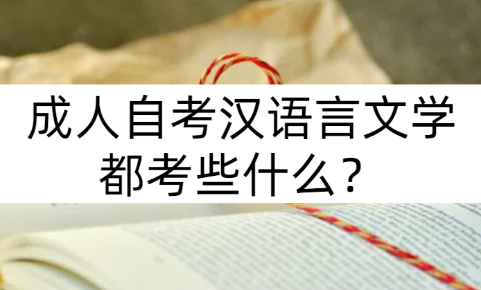 成人自考汉语言文学都考些什么？